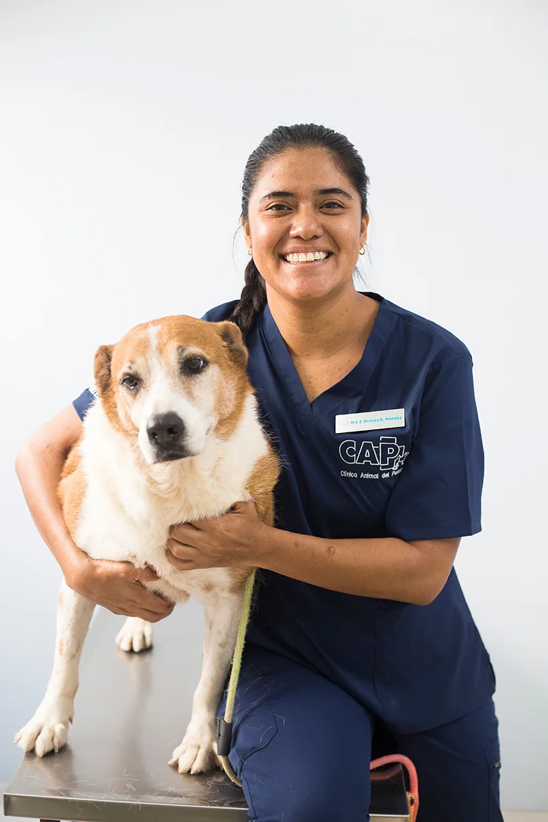 doctora-veterinaria-Brenda-Mendez
