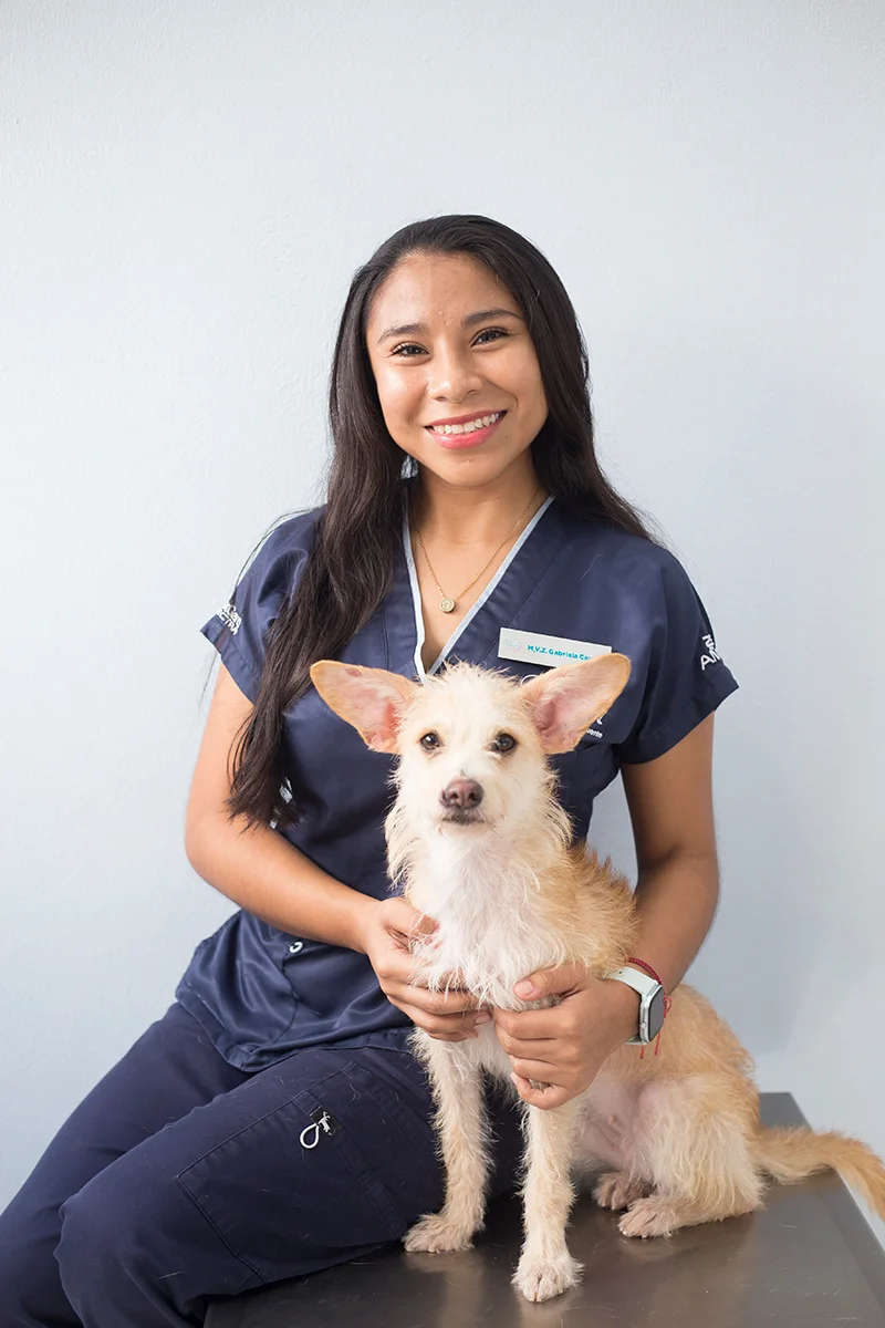 doctora-veterinaria-Gabriela-Cauich