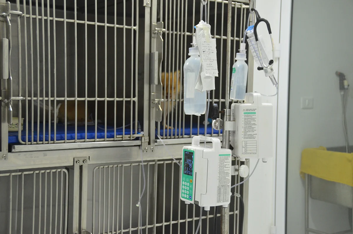 Equipamiento-veterinario-Bombas-Infusion-cap