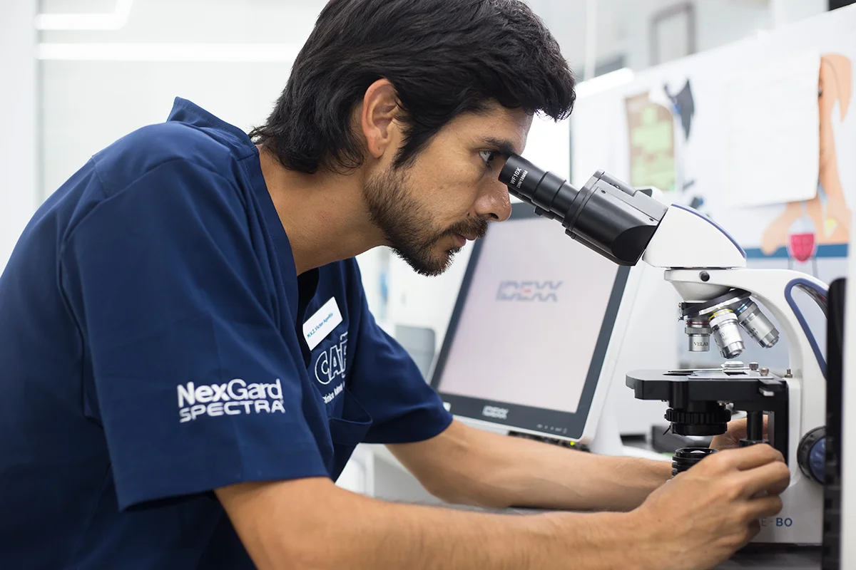 equipamiento-veterinario-Microscopio-cap
