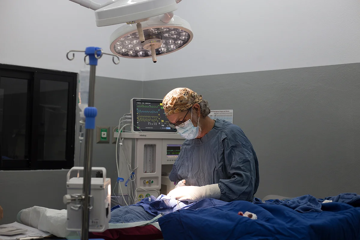equipamiento-veterinario--Monitores-Cardiacos,-presion-y-capnografia-cap