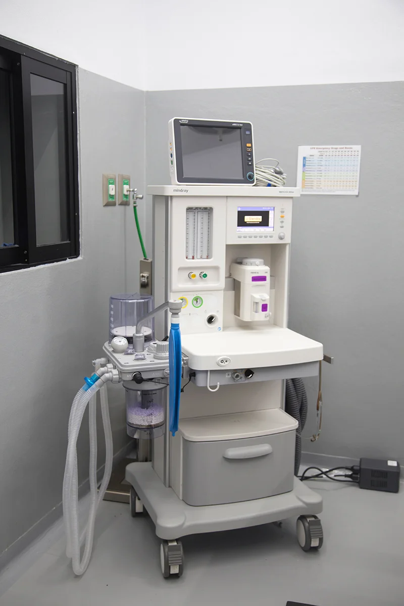 equipamiento-veterinario-Oxigeno-cap