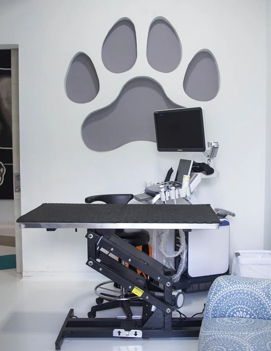 equipamiento-veterinario-Ultrasonido-cap