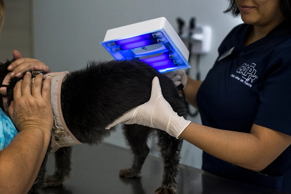Equipamiento-veterinario-Lampara-de-Wood-cap
