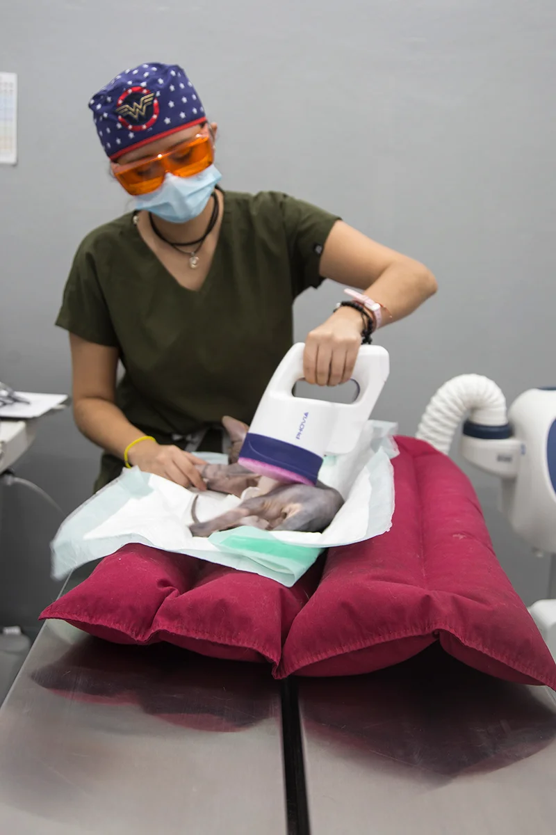 Equipamiento-veterinario-Phovia-cap